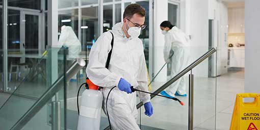 pest-control-services-510255